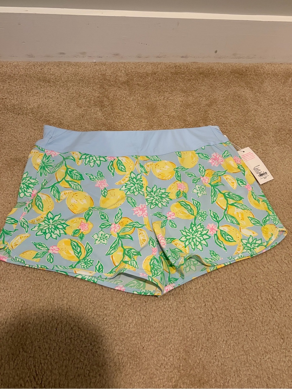 Light Blue Lemon Print Athletic Shorts